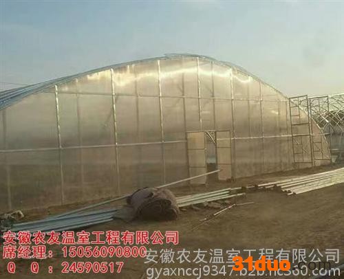安徽大棚_安徽农友(图)_花卉大棚