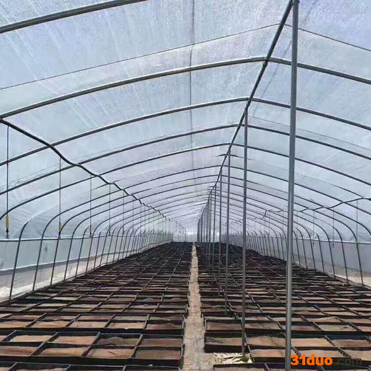 大棚管生产    春秋保温养殖大棚 花卉养殖大棚 花卉大棚 U型大棚管 畜牧养殖大棚温室