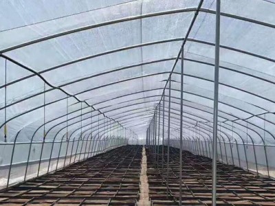 大棚管生产    春秋保温养殖大棚 花卉养殖大棚 花卉大棚 U型大棚管 畜牧养殖大棚温室