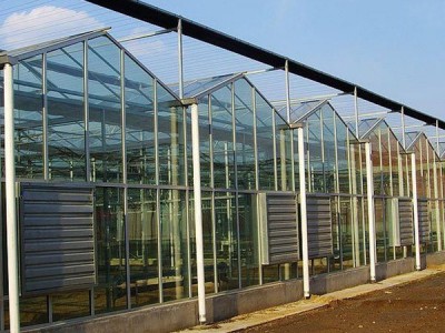 花卉温室大棚建设商 欢迎致电 智能温室价格