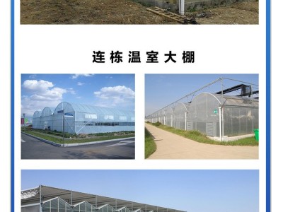 鑫宝金20210427山东花卉蔬菜大棚   玻璃温室厂家销售 休闲温室大棚