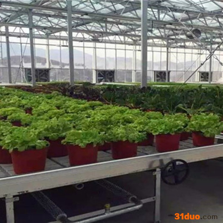 花卉潮汐式苗床实用 温室灌溉式苗床