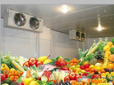 惠州鲜花冷库|惠州花卉冷藏库