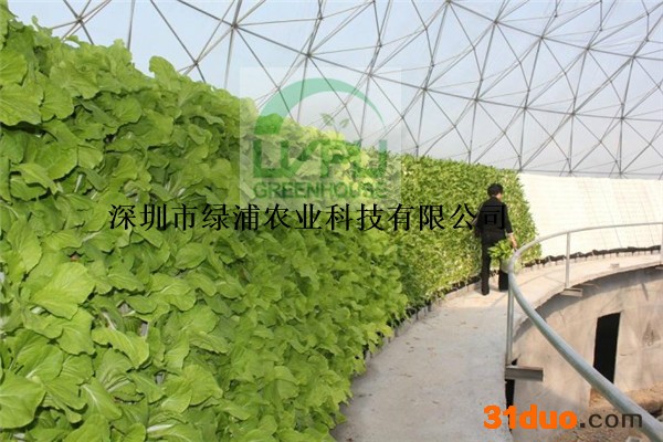 深圳绿浦鸟巢温室 观光温室 花卉温室