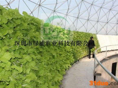 深圳绿浦鸟巢温室 观光温室 花卉温室