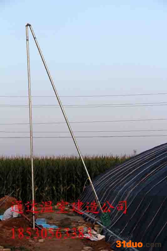 日光温室建造造价通达花卉拱棚建造技术