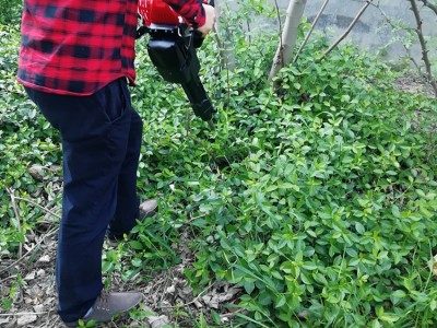 圣鲁牌 花卉起树机 多用园林断根机 汽油移栽机 现货供应