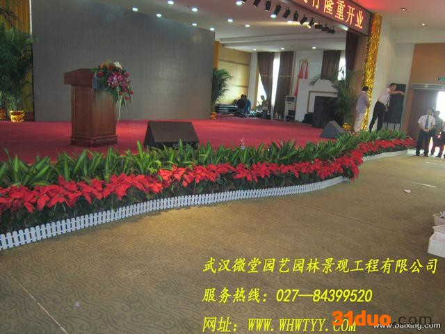 沌口绿植租摆 花卉批发 绿植出售 花卉出售 绿化养护 假山 木平台