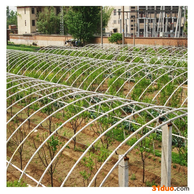 富田花卉大棚，花卉种植大棚，高品质钢管大棚，钢架大棚