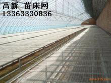 供应高新齐全温室苗床网，花卉苗床网-花卉网