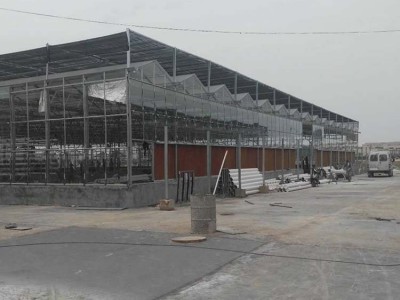 农创  花卉大棚 花卉温室大棚 放心可靠