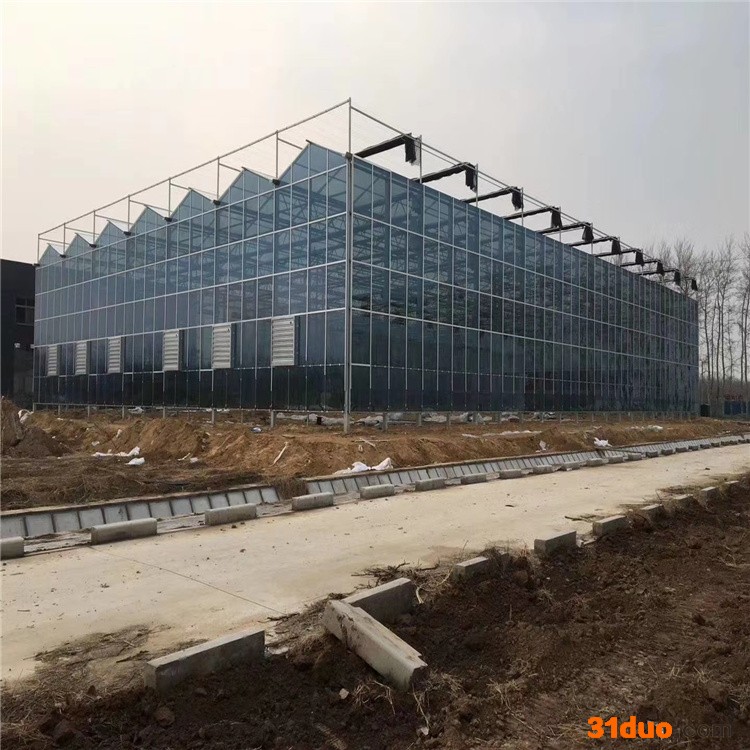 花卉智能玻璃温室建造  齐阳智能温室 生态餐厅设计