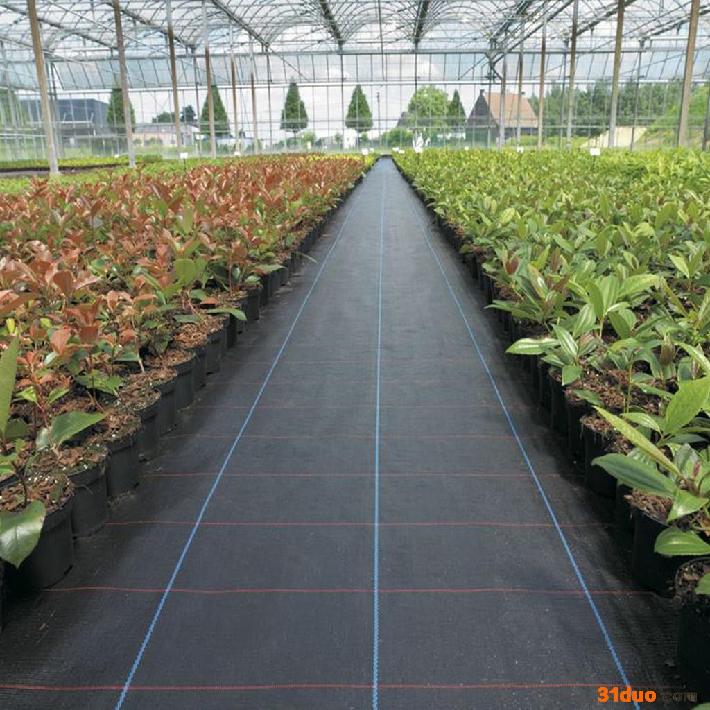 厂家供应花卉园铺防草布 地布 除草地布 果园防草地布 园艺地布 除草黑色地布