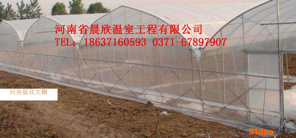 其他花卉多功能高跨度无立柱温室蔬菜花卉大棚建设