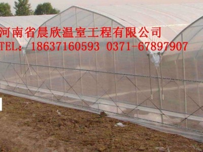 其他花卉多功能高跨度无立柱温室蔬菜花卉大棚建设