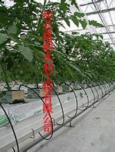 河北衡水花卉滴灌厂家枣强县花卉滴灌型号齐全 丰稔
