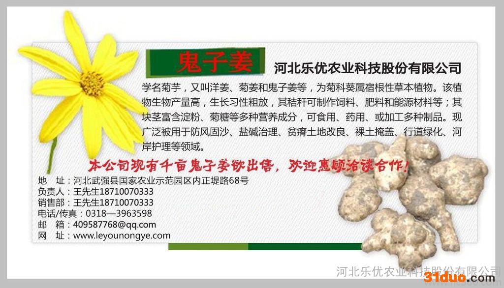 花卉种子、种苗