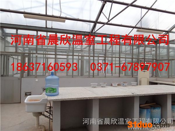 花卉大棚蔬菜水果连栋薄膜温室大棚找晨欣温室工程