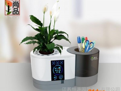 花卉智养机  养花小助手 办公桌摆件 礼品批发  花名：一帆风顺