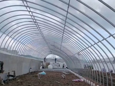 睿焱钢铁 花卉养殖大棚 养殖温室大棚 大棚骨架