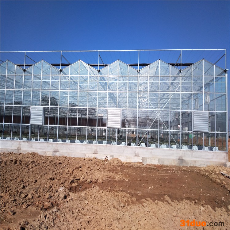 河北丰之源 连栋玻璃温室 热镀锌温室骨架 育苗智能玻璃温室 花卉玻璃温室
