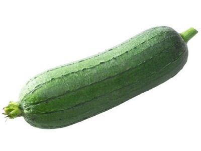 易久 观赏植物 农业综合开发 花卉 种植