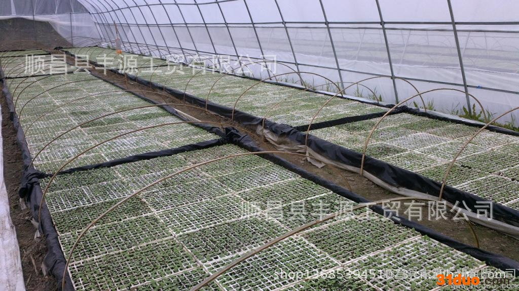 供应丰源** 烟草 花卉 育苗基质