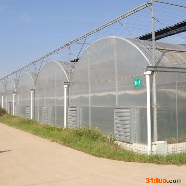 鼎荣钢铁 大鹏管骨架 辣椒温室大棚管 花卉种植棚