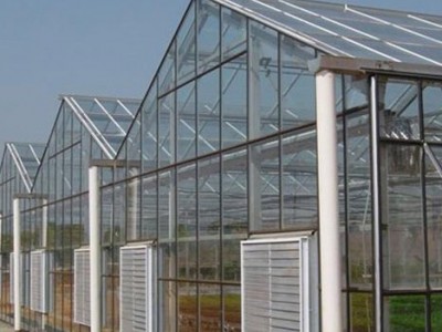 智能花卉温室大棚 鲁一温室 花卉大棚建设