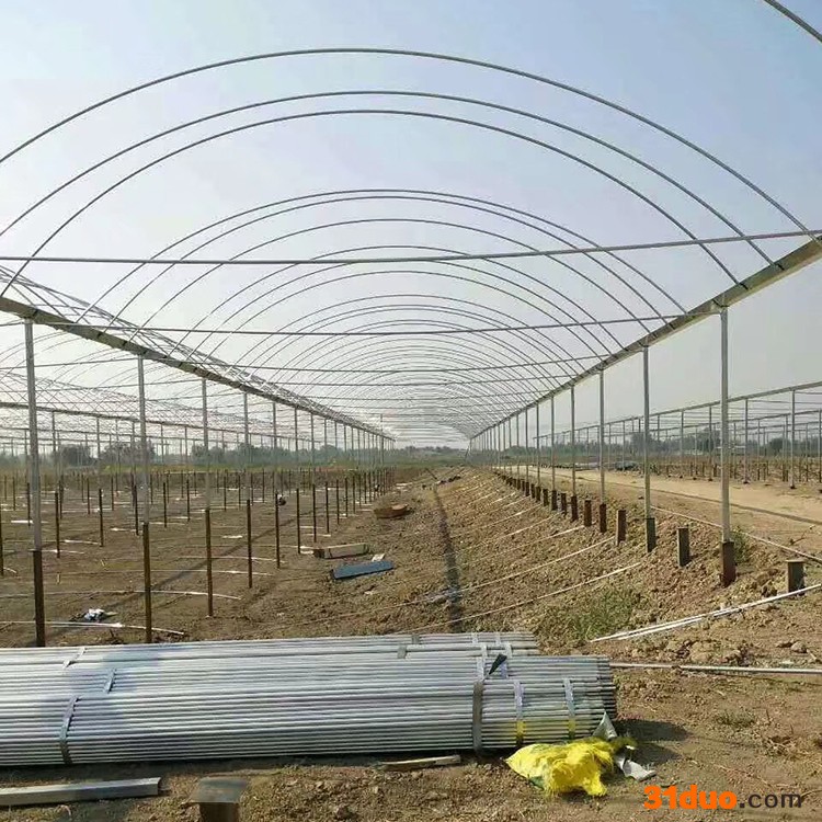 梅花大棚管 建设大棚 花卉大棚