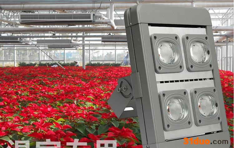 东莞**包邮花卉LED补光灯/30wLED植物补光灯/花卉防潮灯