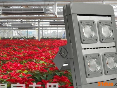 东莞**包邮花卉LED补光灯/30wLED植物补光灯/花卉防潮灯