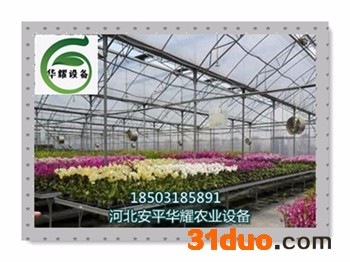 河北种植机械花卉苗床镀锌苗床花卉种植