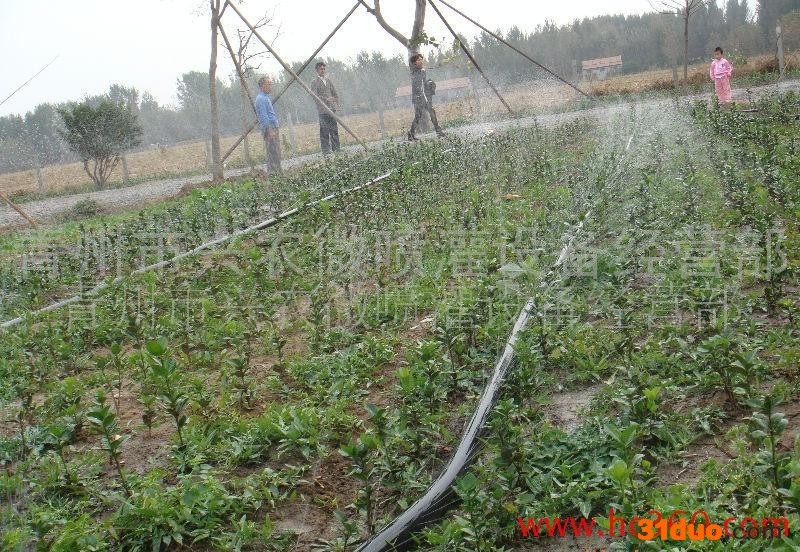 供应兴农N80直销 花卉育苗专