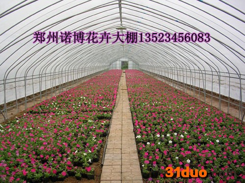 供应花卉种植温室大棚 育苗温室大棚价格