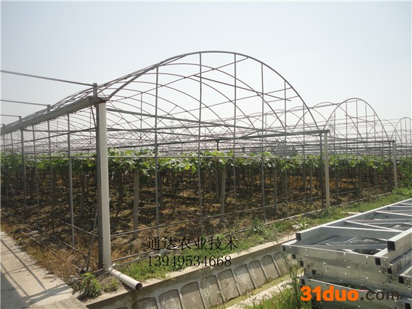 供应通达农业通达001花卉拱棚，连栋拱棚建造配件