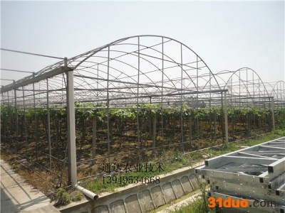 供应通达农业通达001花卉拱棚，连栋拱棚建造配件