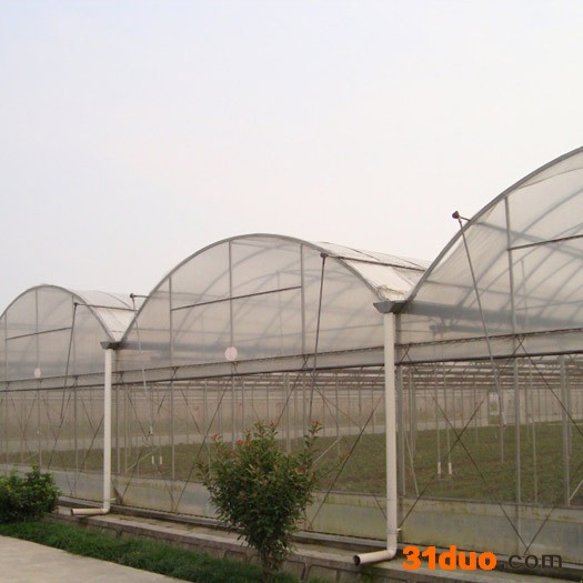 花卉大棚建设商 设计花卉种植温室 薄膜温室