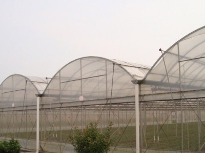 花卉大棚建设商 设计花卉种植温室 薄膜温室