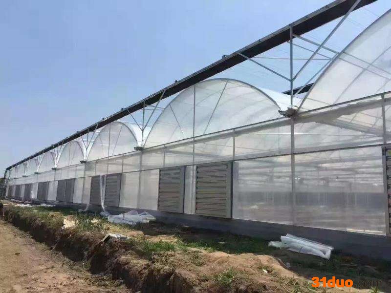 厂家搭建温室大棚_花卉大棚 神农 日光温室 采摘大棚