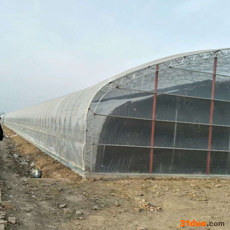 花卉养殖大棚 定制花卉大棚 阳光温室