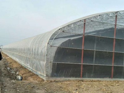 花卉养殖大棚 定制花卉大棚 阳光温室