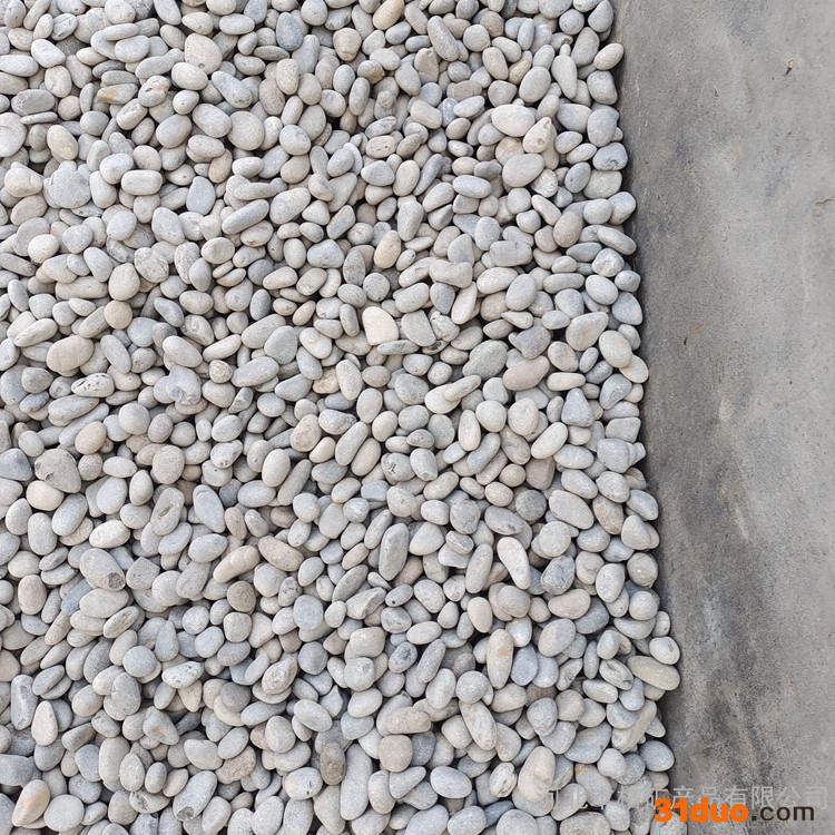本格厂家现货 树坑石 花卉铺面卵石 河道鹅卵石 砂砾石 建筑工程鹅卵石 均匀