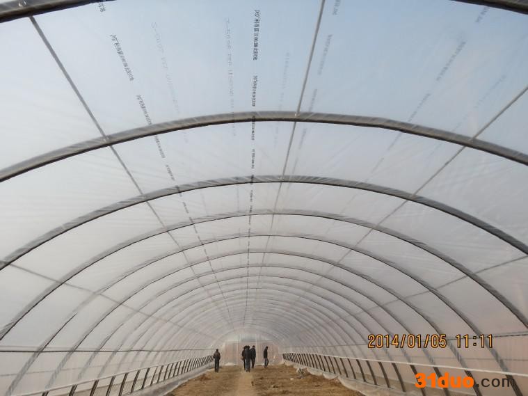 生产销售 镀锌大棚管 椭圆管  镀锌圆管 可按要求定做各种大棚配件 花卉大棚