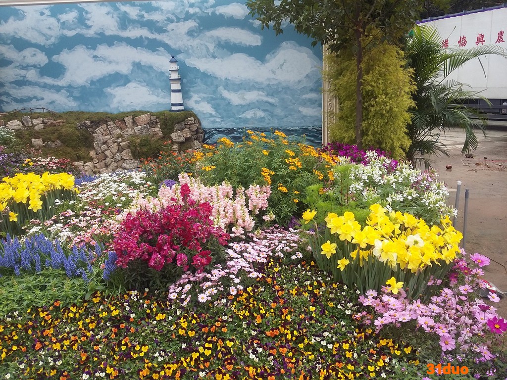 境花台花卉绿化美化庭院设计公园美化