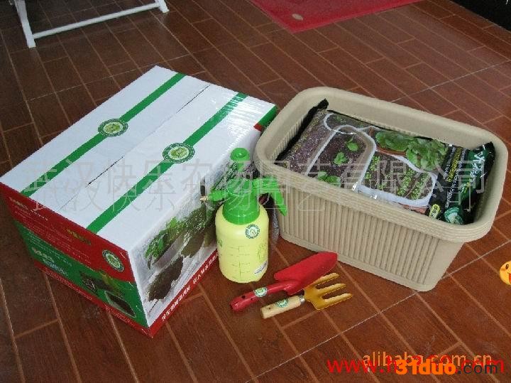 供应园艺用品花卉盆景