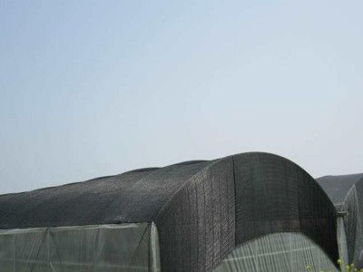 旭泰 遮阳网 农用防晒网 花卉大棚黑色遮阳网 黑色遮阴网抗老化寿命长