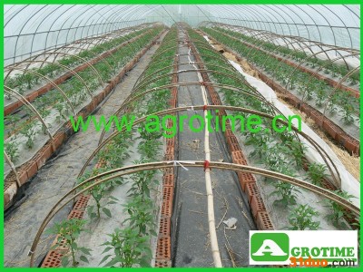 供应杭州中悦农业科技供应浙江花卉大棚