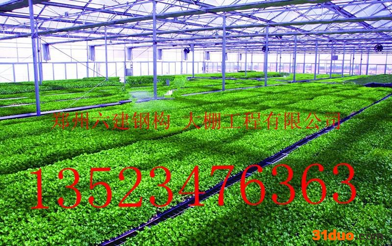 供应郑州陆建无立柱花卉大棚找郑州六建