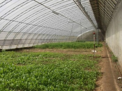 圆管大棚 养殖大棚用管 花卉种植棚